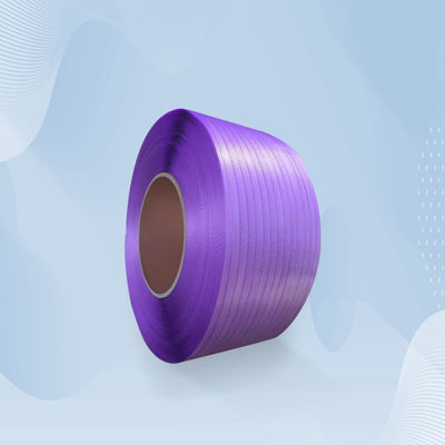 Split Resistant PP Box Strapping Roll PET Packing Belt Packaging Banding Straps CE ISO