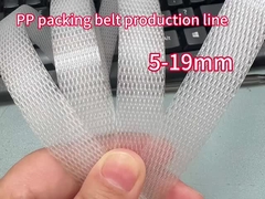 পিপি strapping উত্পাদন লাইন