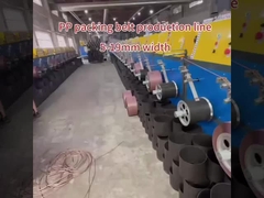 পিপি strapping উত্পাদন লাইন