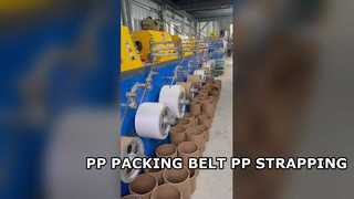 পিপি প্যাকিং বেল্ট দীর্ঘ দৈর্ঘ্য সঙ্গে PP প্লাস্টিকের strapping